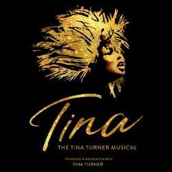 Jason Langley Stars In The Brand New West End Biographical Musical ‘Tina: The Tina Turner Musical’